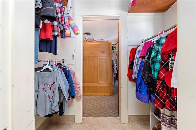 424 S Elm St, Ottawa, KS 66067 - spacious closet featuring carpet floors