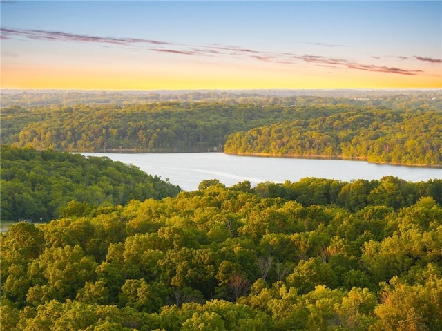 4424 NE Shadow Valley Cir, Lees Summit, MO 64064 - drone / aerial view of a forest and a nearby body of water