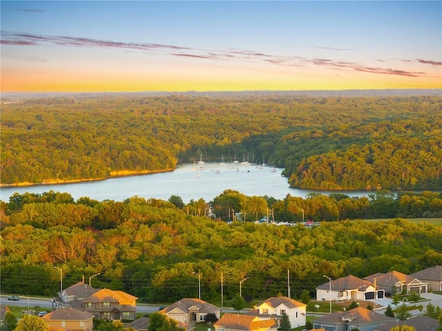 4424 NE Shadow Valley Cir, Lees Summit, MO 64064 - aerial view at dusk of a view of trees, a water view, and a residential view