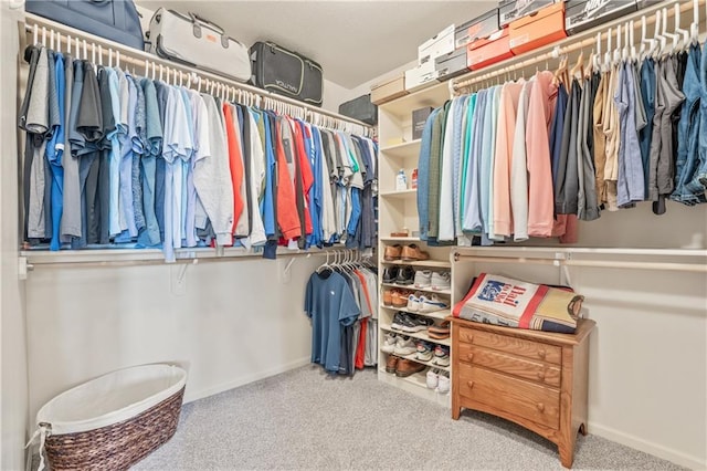 13897 W 140th St, Olathe, KS 66062 - spacious closet with carpet floors