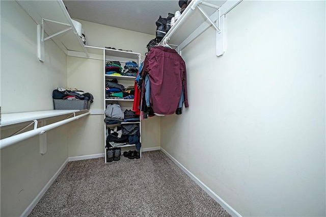 1604 S 105th Ter, Edwardsville, KS 66111 - spacious closet with carpet flooring