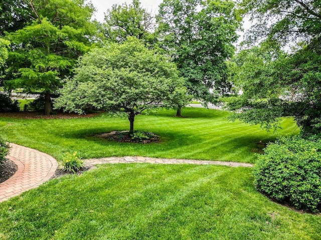 2611 Lovers Ln, Saint Joseph, MO 64506 - photo 92