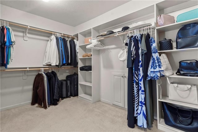 11412 S Lakecrest Dr, Olathe, KS 66061 - spacious closet with carpet floors