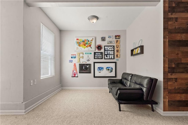 11412 S Lakecrest Dr, Olathe, KS 66061 - living area featuring carpet flooring and baseboards