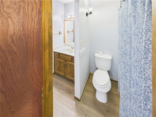 240 SE 121st Rd, Warrensburg, MO 64093 - bathroom featuring wood finished floors, toilet, vanity, and curtained shower