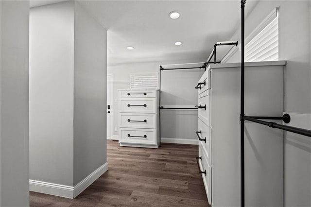 22617 155th St, Basehor, KS 66007 - walk in closet with dark wood-style floors
