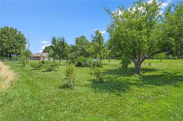 22617 155th St, Basehor, KS 66007 - view of yard