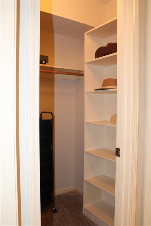 13810 W 53rd St, Shawnee, KS 66216 - view of walk in closet