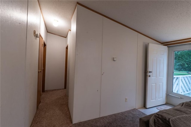 406 Cheyenne Ave, Coffeyville, KS 67337 - bedroom with carpet floors, a textured ceiling, and ornamental molding