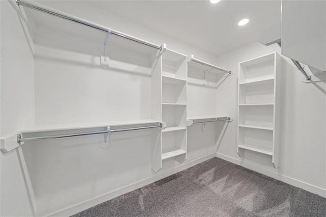 1709 SW Hightown Dr, Lees Summit, MO 64082 - spacious closet with dark carpet