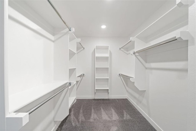 1709 SW Hightown Dr, Lees Summit, MO 64082 - walk in closet featuring dark carpet