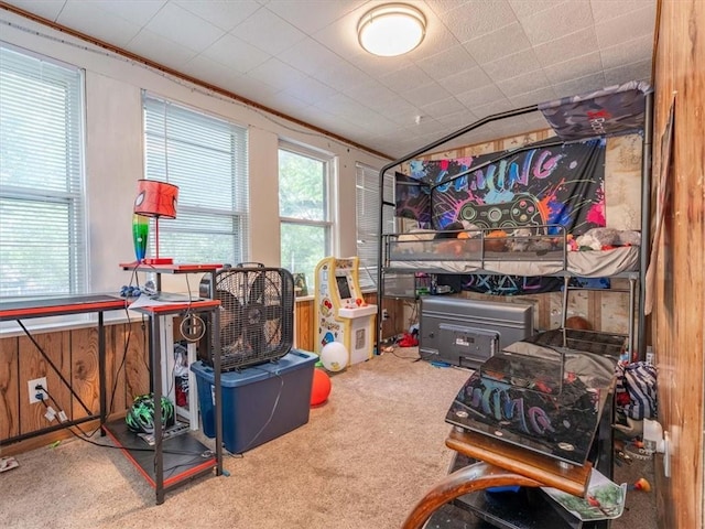 2517 Faraon St, Saint Joseph, MO 64501 - view of storage