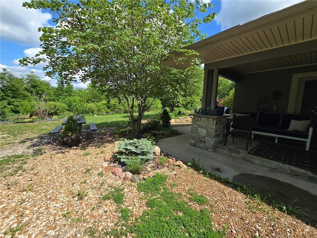 8050 SE Benner Lake Rd, Dearborn, MO 64439 - view of yard