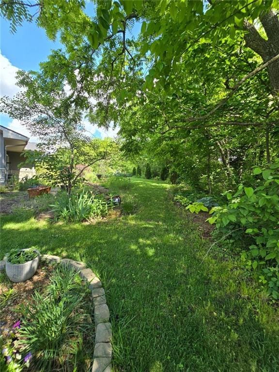 8050 SE Benner Lake Rd, Dearborn, MO 64439 - view of grassy yard