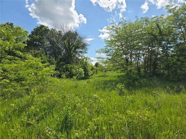 8050 SE Benner Lake Rd, Dearborn, MO 64439 - view of tree filled area