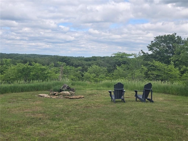 8050 SE Benner Lake Rd, Dearborn, MO 64439 - view of yard with a view of trees