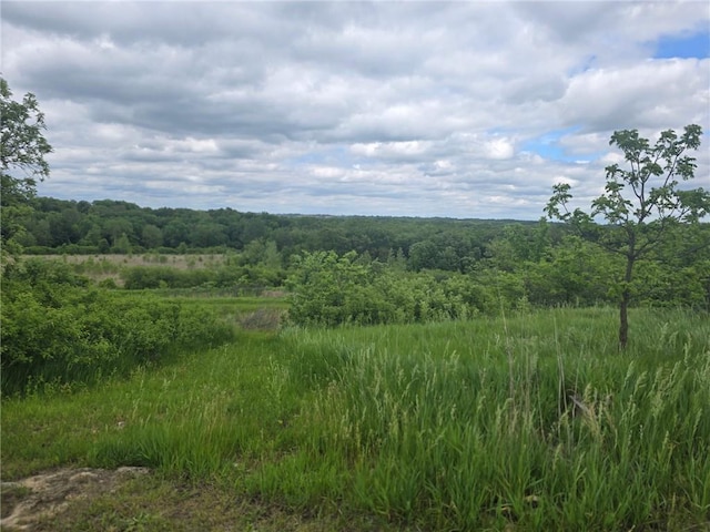 8050 SE Benner Lake Rd, Dearborn, MO 64439 - view of wooded area