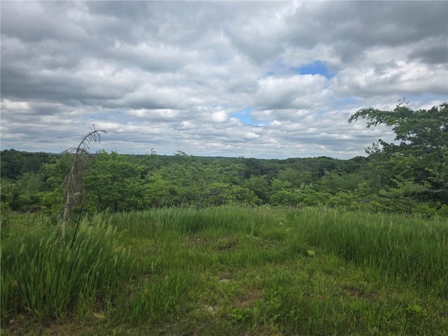 8050 SE Benner Lake Rd, Dearborn, MO 64439 - view of woods