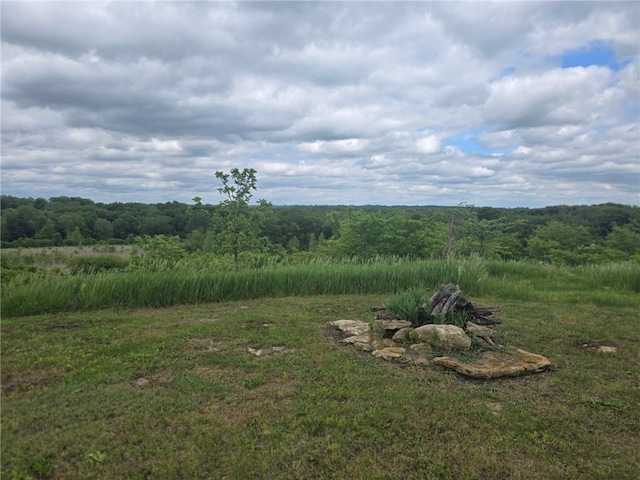 8050 SE Benner Lake Rd, Dearborn, MO 64439 - view of yard