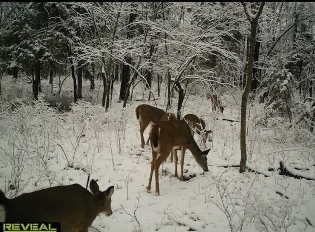 00000 Orahood Rd, Mound City, KS 66056