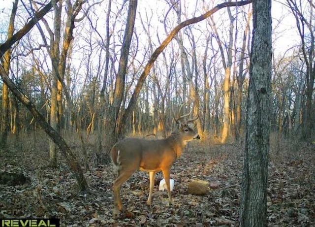 00000 Orahood Rd, Mound City, KS 66056