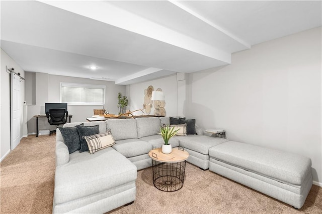 1021 NE Woodbury Ln, Lees Summit, MO 64086 - carpeted living area featuring baseboards and a barn door