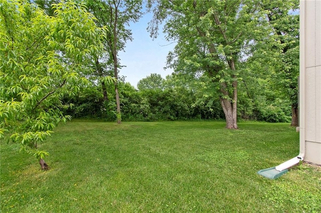 9 Platte Ridge Ct, Edgerton, MO 64444 - view of grassy yard