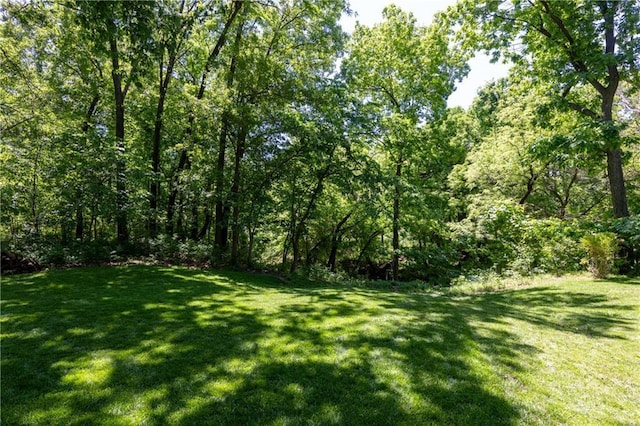 12577 S Alcan Cir, Olathe, KS 66062 - view of grassy yard with a forest view