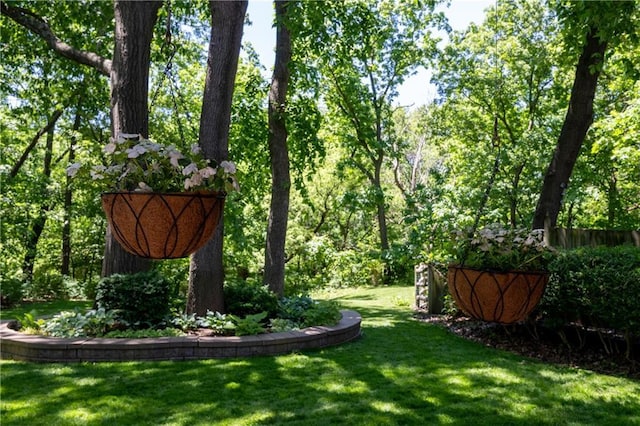 12577 S Alcan Cir, Olathe, KS 66062 - view of grassy yard