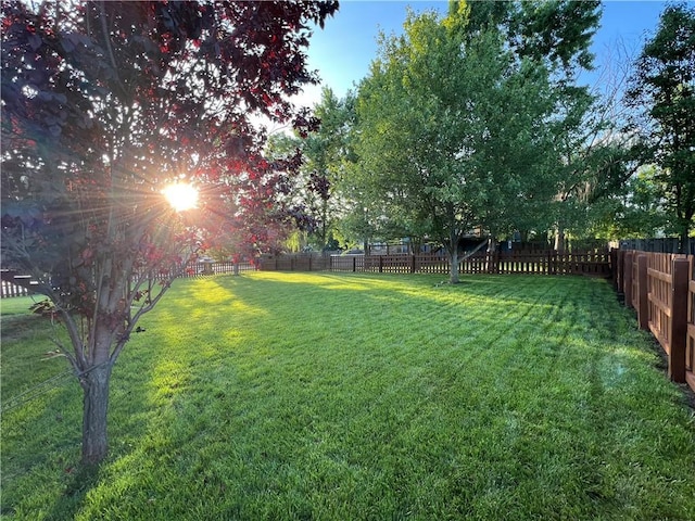 1412 Bradford Dr, Greenwood, MO 64034 - photo 26