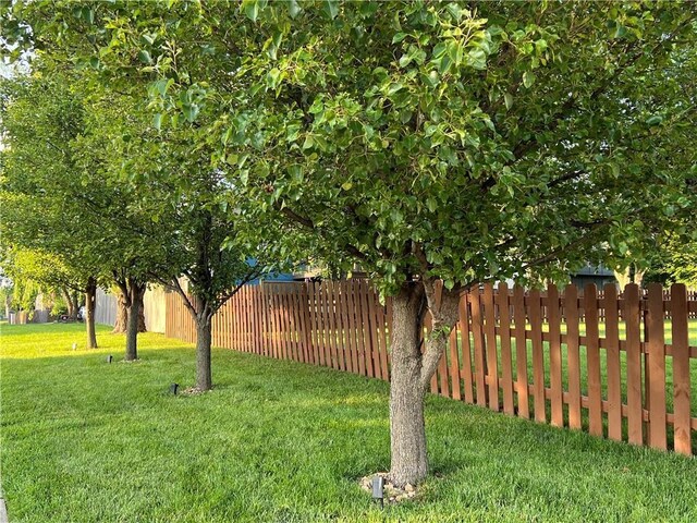 1412 Bradford Dr, Greenwood, MO 64034 - photo 29