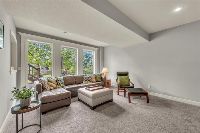 2301 NE 110th St, Kansas City, MO 64155 - living room featuring carpet flooring and recessed lighting