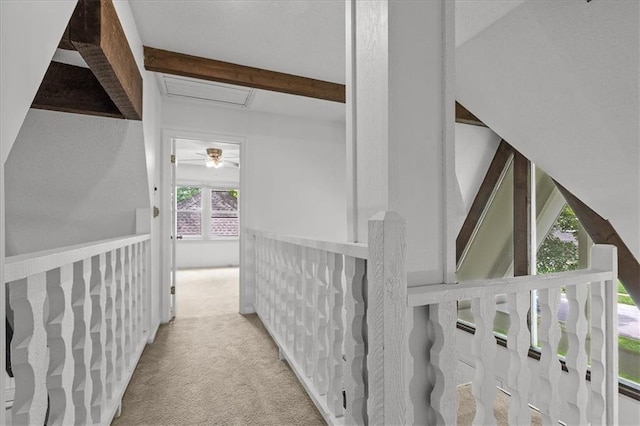 12509 W 100th Ter, Lenexa, KS 66215 - hall with carpet flooring, beamed ceiling, and attic access
