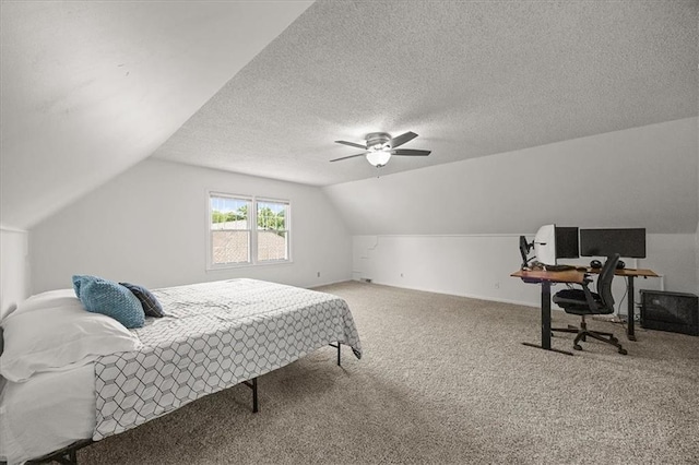 12509 W 100th Ter, Lenexa, KS 66215 - photo 23