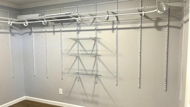 1636 S Poplar St, Ottawa, KS 66067 - walk in closet with dark wood-type flooring