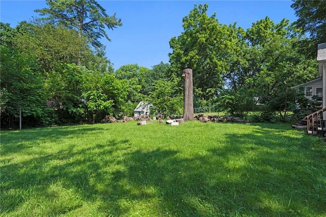 1304 6th Ave, Leavenworth, KS 66048 - view of green lawn