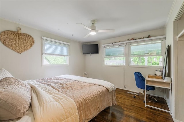808 NE 62nd St, Gladstone, MO 64118 - bedroom with multiple windows, dark wood finished floors, an office area, and ceiling fan