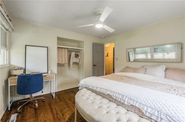 808 NE 62nd St, Gladstone, MO 64118 - bedroom with dark wood-type flooring, crown molding, a closet, and a ceiling fan