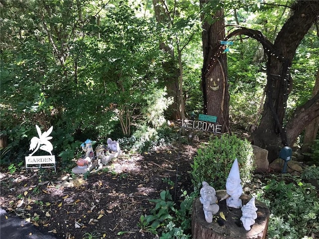 11580 S Skyview Ln, Olathe, KS 66061 - view of nature