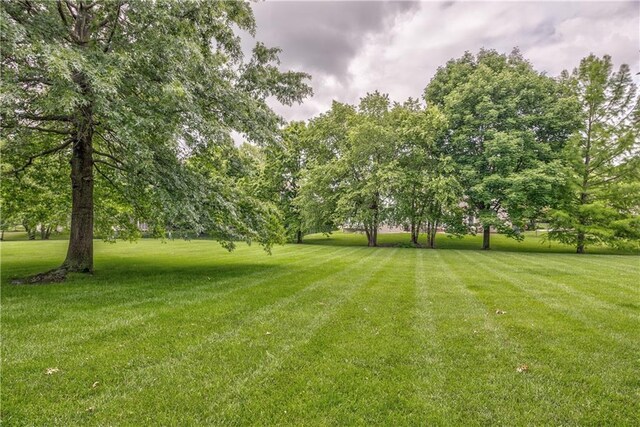 14606 Granada Rd, Leawood, KS 66224 - view of grassy yard