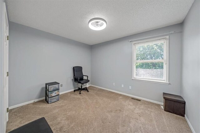 12890 S Greenwood St, Olathe, KS 66062 - unfurnished room with carpet flooring, a textured ceiling, and baseboards