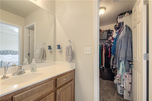 217 N 6th Ter, Louisburg, KS 66053 - ensuite bathroom featuring vanity and a walk in closet