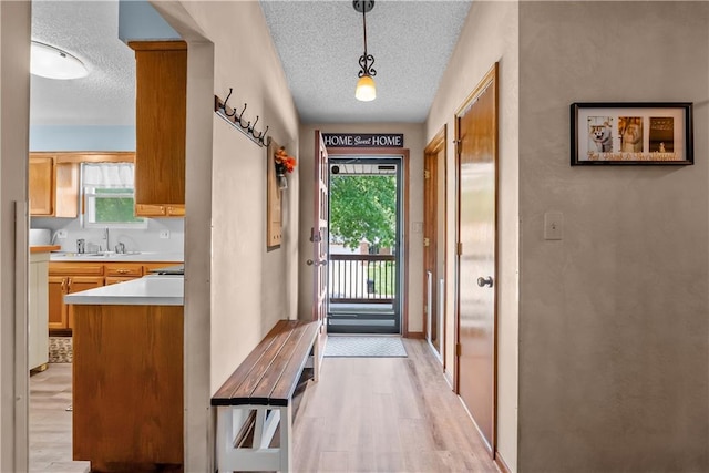 1805 N Lazy Branch Rd, Independence, MO 64058 - doorway featuring a textured ceiling, light wood-style floors, a sink, and plenty of natural light