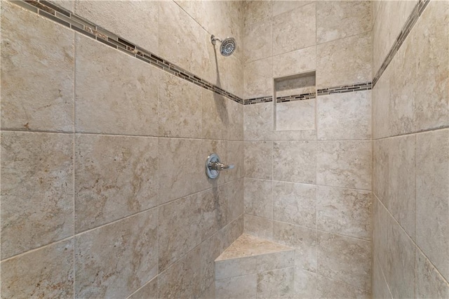 20740 W 224th St, Spring Hill, KS 66083 - bathroom view of tiled shower