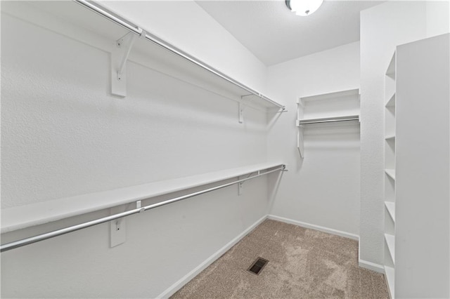 20740 W 224th St, Spring Hill, KS 66083 - walk in closet with carpet
