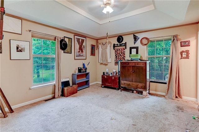 19490 Countryside Cir, Weston, MO 64098 - living area with a raised ceiling, carpet flooring, ceiling fan, and healthy amount of natural light