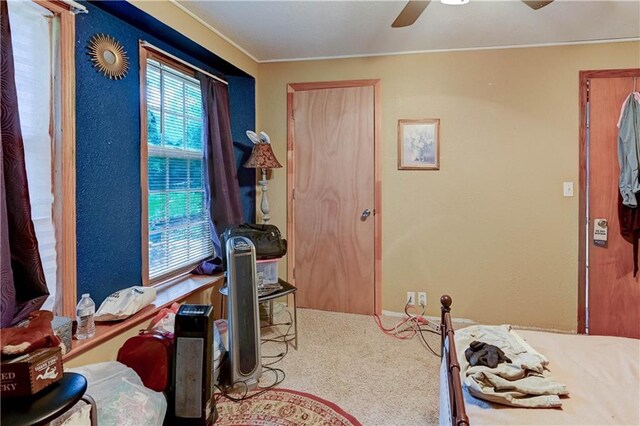 19490 Countryside Cir, Weston, MO 64098 - entryway with carpet, ceiling fan, and crown molding