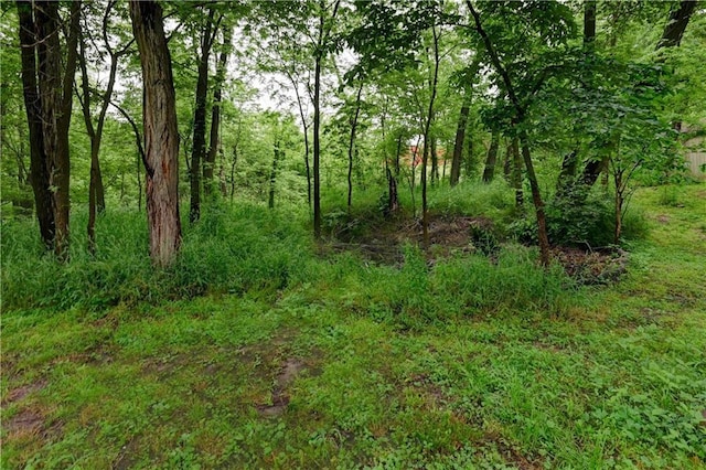 19490 Countryside Cir, Weston, MO 64098 - view of local wilderness