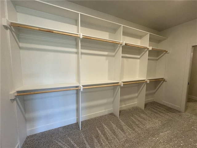 22415 87th Ter, Lenexa, KS 66227 - walk in closet with carpet flooring