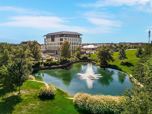 4801 W 133rd St Unit 103, Leawood, KS 66209 - water view